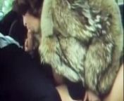 Vintage Coyote Fur Blowjob from coyote bangla sex