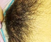Desi hairy pussy – where is my hole from homely desi hairy pussy auntiesamil actress mumtaj sex