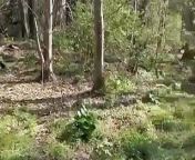 Lucky stranger getting a wank from me in the woods before I take him home for hard fuck from wife wank stranger