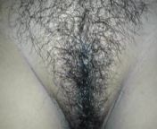 BENGALI BOUDI HAIRY PUSSY.mp4 from bengali boudi hairy vagina hair