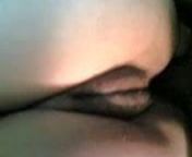 Iranian Wife gets assfucked from sex with iranian wife