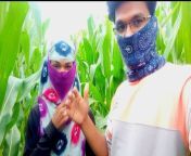 Today my friend took me to the corn field and fucked my ass and fucked me with great pleasure - Hindi voice from indian beautiful shemale
