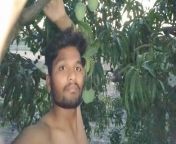 crispy Mango tree Part 1-? Funny Moments for Sexi Talking voice video of him suking one the mango that day from sexy hairy gay men kissing and fucking muscle full