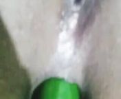 Dirty Muslim hijab girl – anal and pussy fucking with cucumber from muslim randi choot video