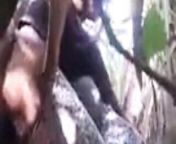 Indian girlfriend fucked in the jungle from marathi gawthi jangl
