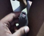 Tamil story with cock video play from tamil boys sex big penis