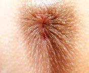 Cayenne, Gorgeous Euro Babe Solo, Pink Pussy Close-ups Masturbation from oil pink pussy ছবি
