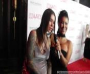 AVN Nominations Party 2016 - Red Carpet from asin red carpet legs videos