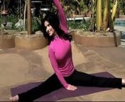 Denise Milani Shows Yoga - non nude from arjun bijlani nude cock p