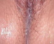 Wife pussy soaked wet and I lick and eat all her juices until she cums in my mouth! You never saw a wetter pussy like this! from ए कामुक नौकरानी कभी भीगा हुआ साड़ी