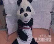 Your favorite panda show - hand job from jaya parda sexndian gay romantic x