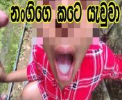 Desi Teen Girl Sucking Uncle's Big Dick & Swallowing Cum from sri lankan girl sucking dick threesome