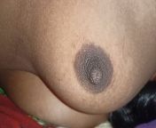 Indian girl sucking videos nipple tips from sheikhpura food plaza mms video biharxnxsex com
