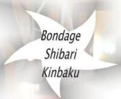 Bondage Shibari Kinbaku from kinbaku