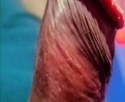 Anjali Arora Sex Video Viral Mms Desi Big Penis Flashing from desi oldman gay sex mms sxcy video 85 mp3