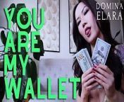 You Are My Wallet Full Clip: dominaelara.com from youtabe com