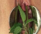 BDSM Pussy Torture - Speculum Stretched Nettles in her Peehole & Vagina Till she pisses herself from ytimg